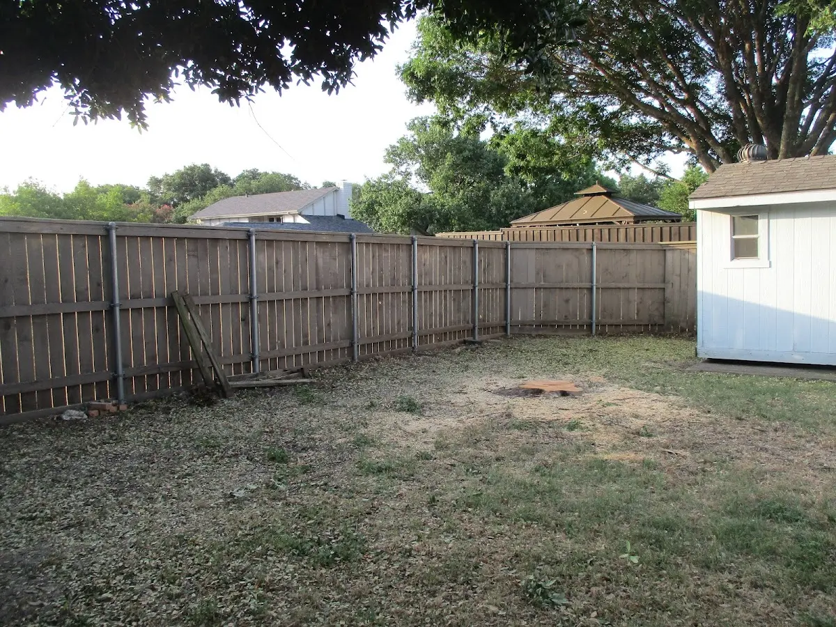 Cleared yard after professional tree removal in Becket